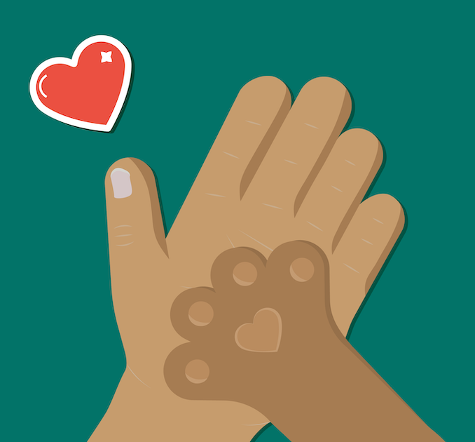 hand and paws Illustration