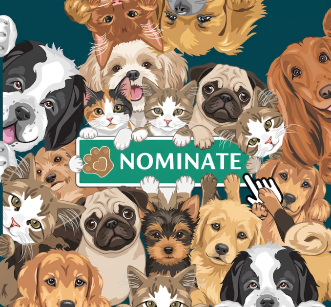 Cats and Dogs illustration