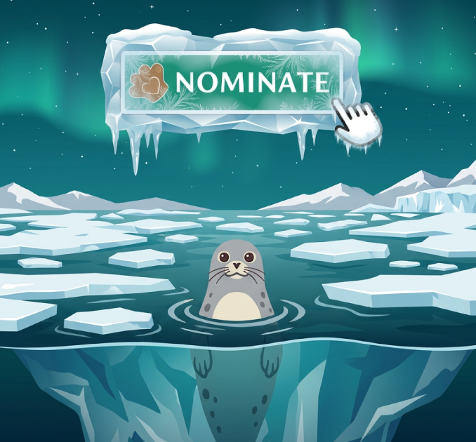 Seal Illustrations